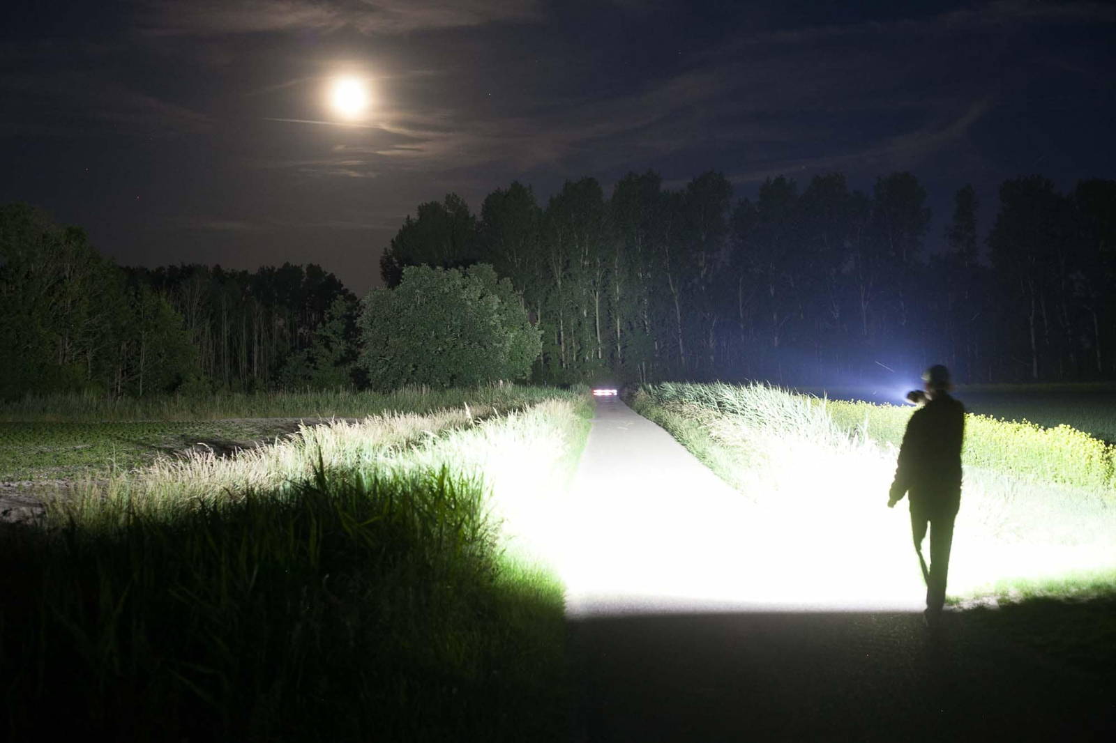 Emergency flashlight top